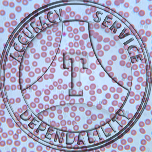 Cat Blood Slide HC17-4 Cat blood; smear.