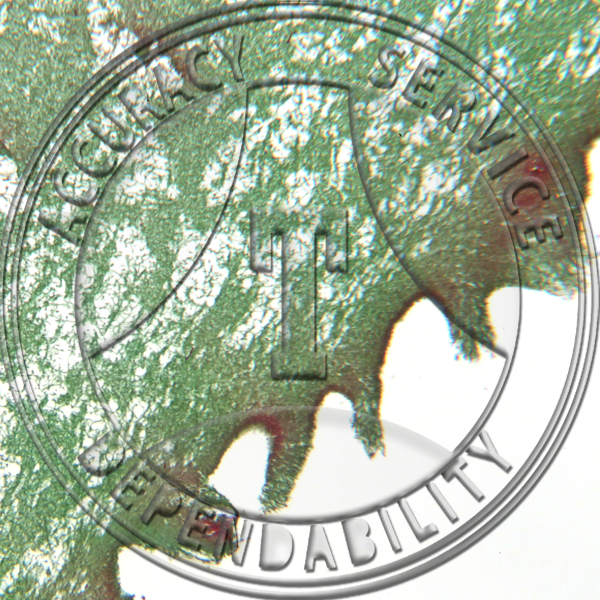 Favolus Fruiting Body Prepared Microscope Slide